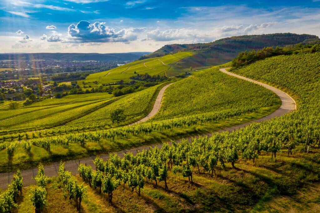 Arpentez les vignes de la Bourgogne sur la route des Grand Crus ©CRI Dijon