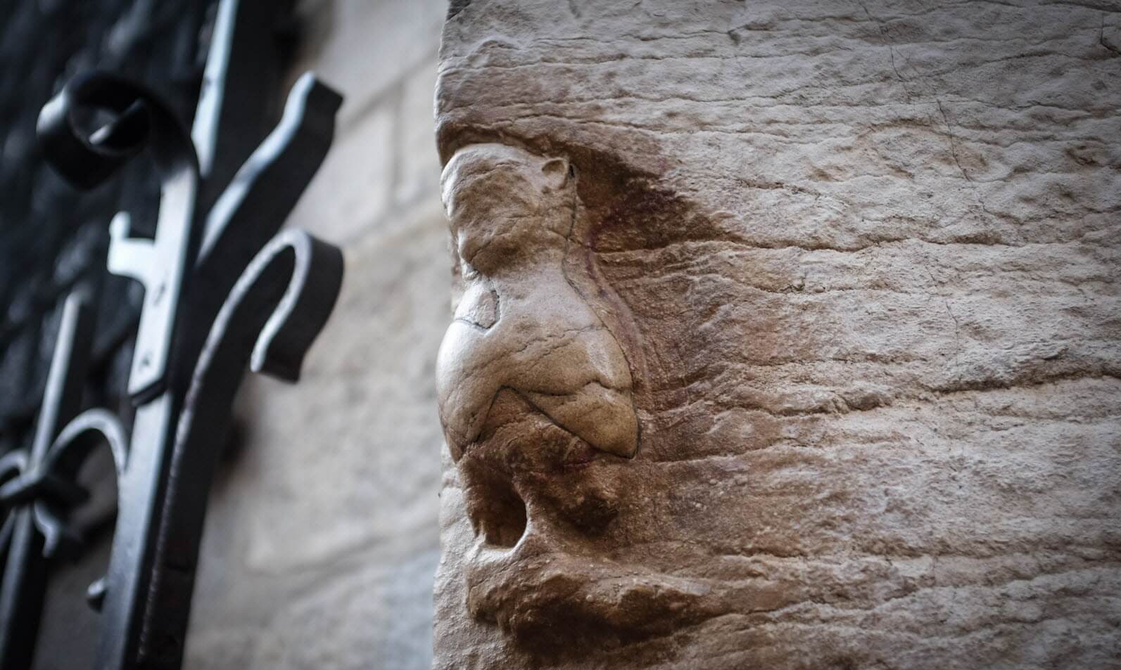 Toucher la chouette sculptée sur l'église Notre-Dame, avec la main gauche, pour vous porter chance ©Le Bien Public