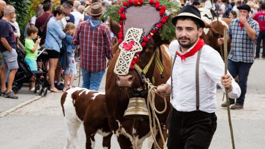 Les traditions savoyardes au centre de la fête du Vieux Seynod ©L'Essor Savoyard