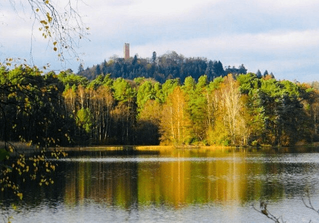 Vue sur la Petite Pierre dans le Parc Naturel Régional des Vosges du Nord © Trip Advisor