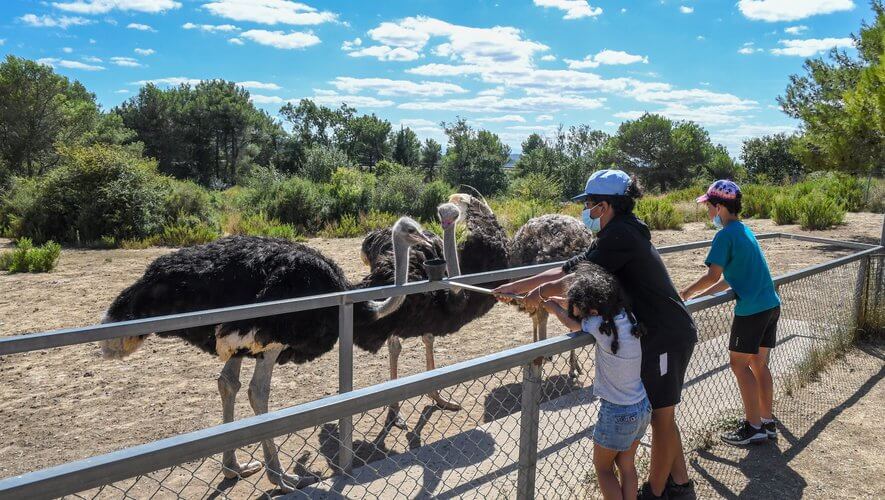 Profitez du Zoo du Parc Australien ©Clementz Michel