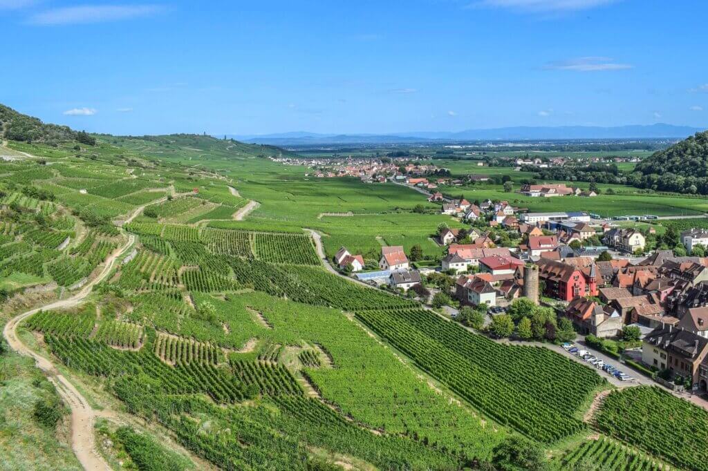 Balade au cœur des vignes en Alsace ©Bon Plan Voyage