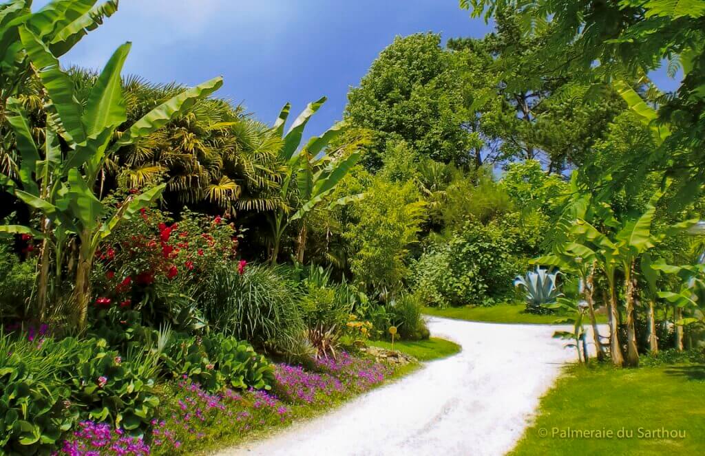 Baladez-vous dans les somptueux chemins de la Palmeraie du Sarthou ©Cœur Sud Ouest Tourisme
