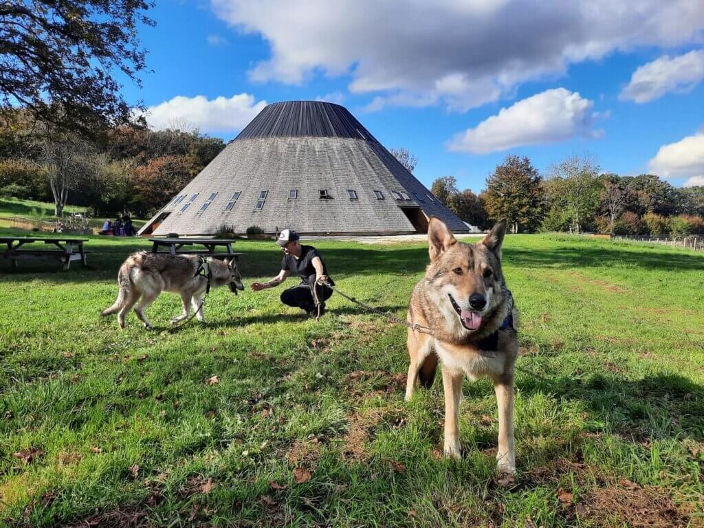 Amusez-vous à La Pyramide du Loup à Toucy ©Tripadvisor
