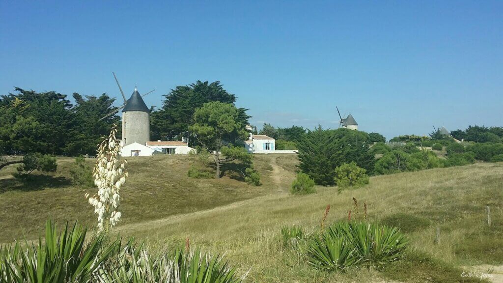 Faites un tour au moulin de La Guérinière, entre mer et campagne ©aucouleurdevendee