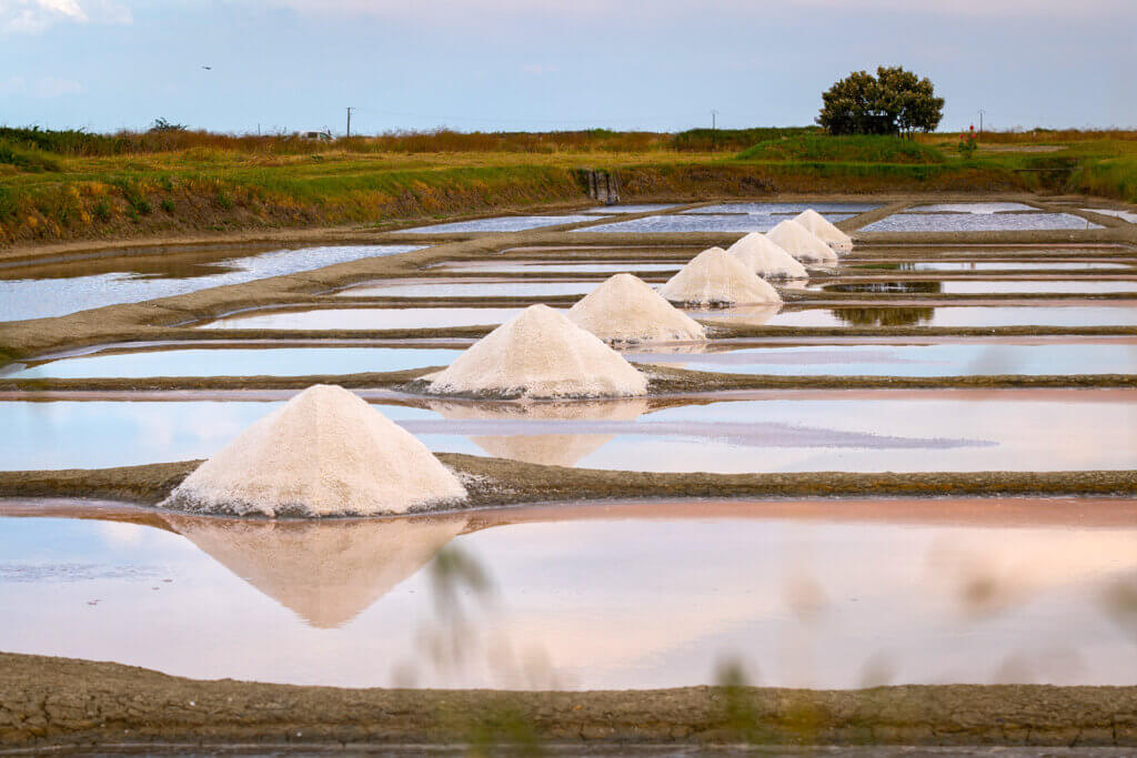 Les marais salants avec le fameux sel de Noirmoutier ©guide-de-la-vendee.com