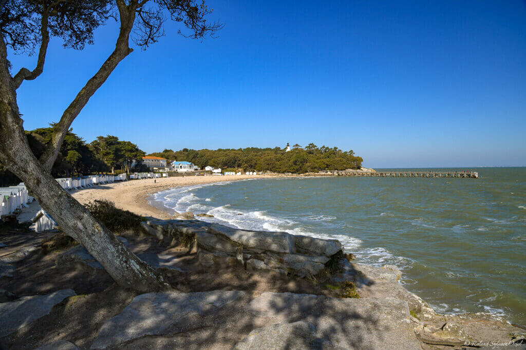 La fabuleuse Plage des Dames et le Bois de la Chaise, à ne pas manquer ©vendeecamping.com