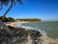 La fabuleuse Plage des Dames et le Bois de la Chaise, à ne pas manquer ©vendeecamping.com