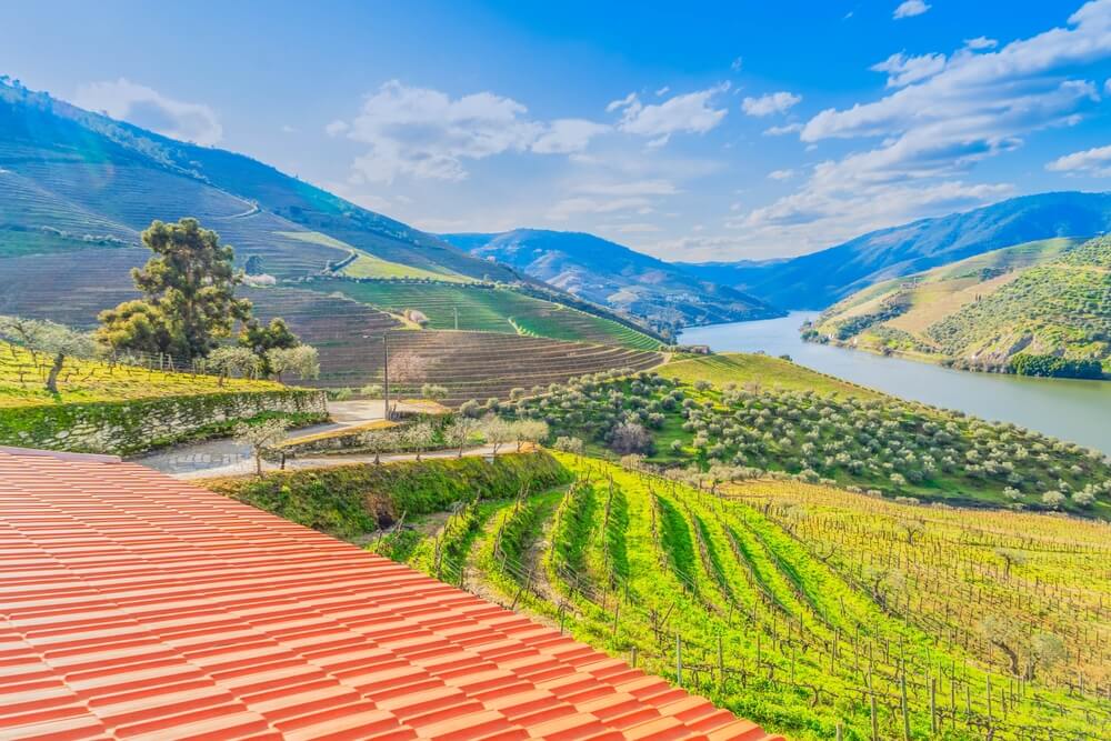 Vue aérienne sur la vallée du Douro dans le Nord du Portugal ©Shutterstock