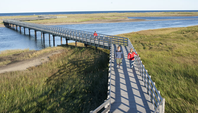 Empruntez la passerelle et découvrez le Parc national Kouchibouguac ©Acadie Nouvelle
