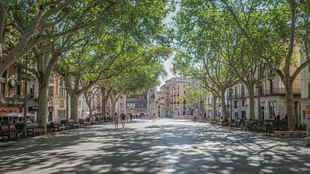 Le boulevard de La Rambla, au centre de Barcelone ©Shutterstock