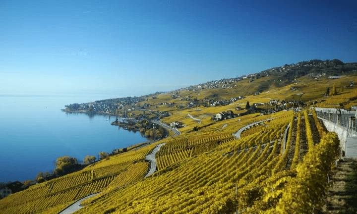 Lutry est un pittoresque bourg médiéval situé à quelques minutes de Lausanne © Lausanne Tourisme