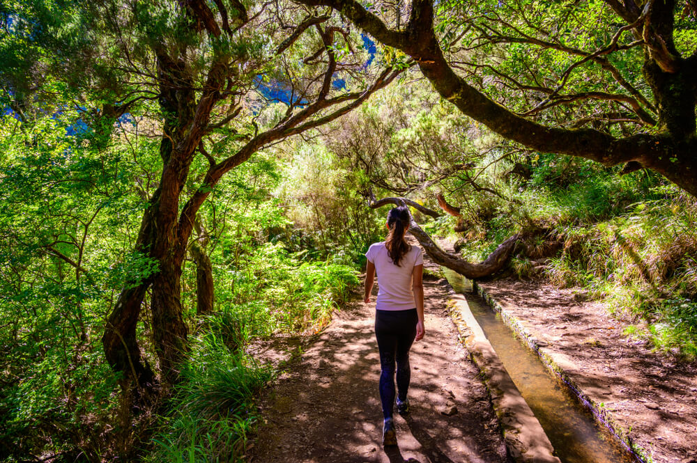 Les canaux d'irrigation le long de la Levada das 25 Fontes à Madère ©Shutterstock