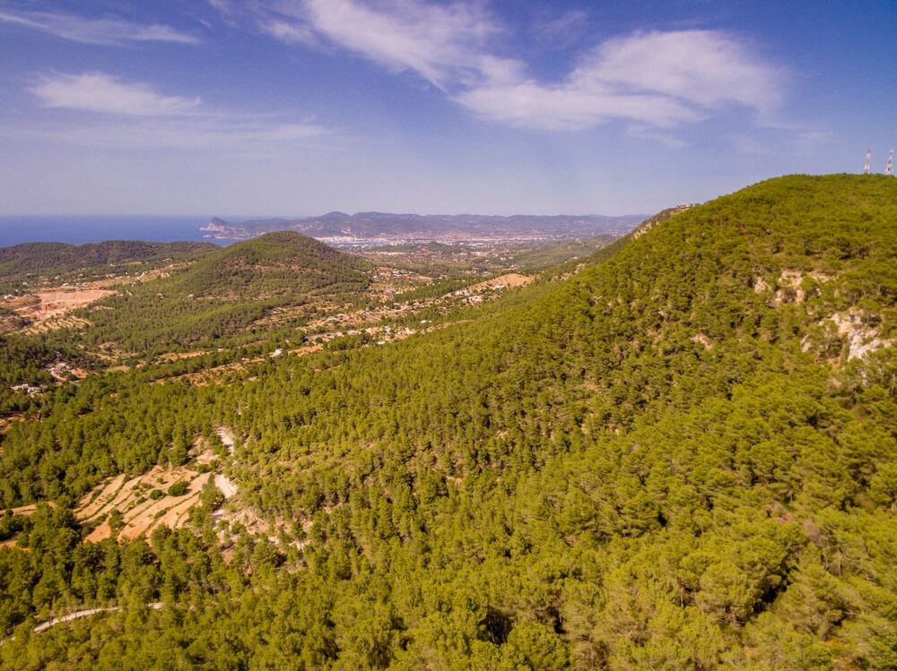 Sa Talaia est le point culminant d’Ibiza, avec une altitude d’environ 475 mètres ©Shutterstock