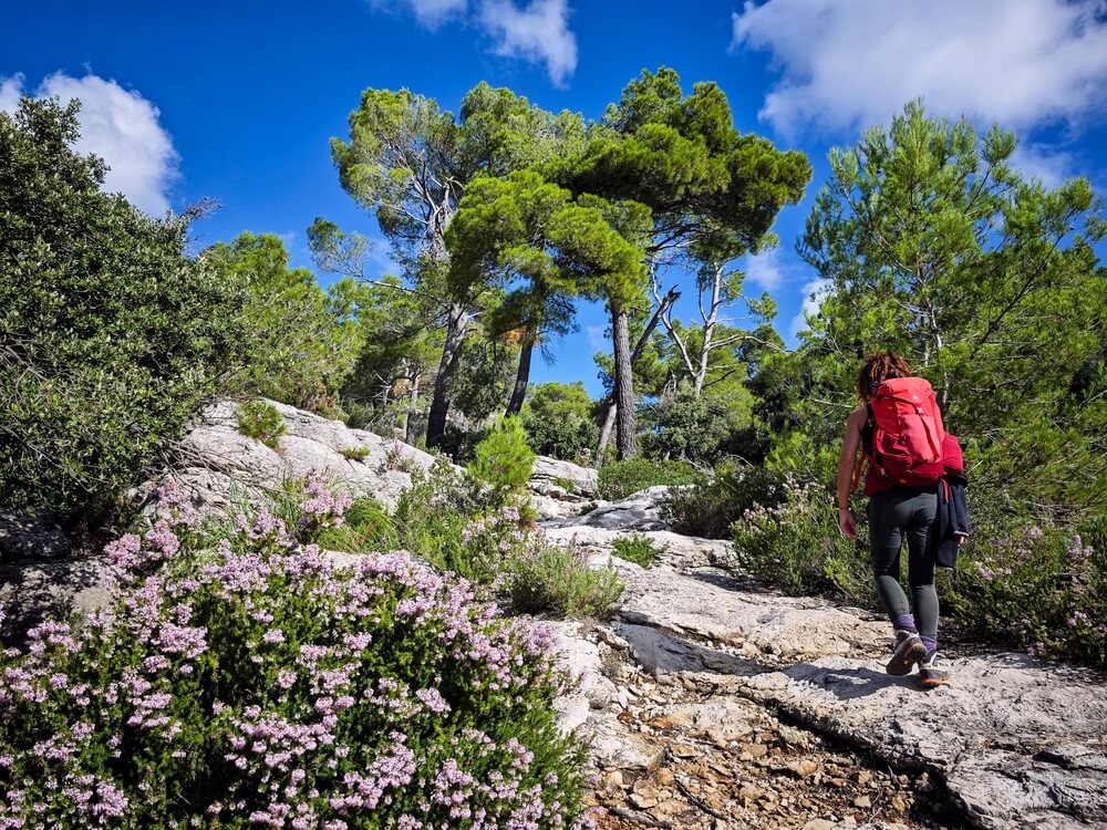 Randonnez jusqu'au sommet du Puig de Massanella ©Shutterstock