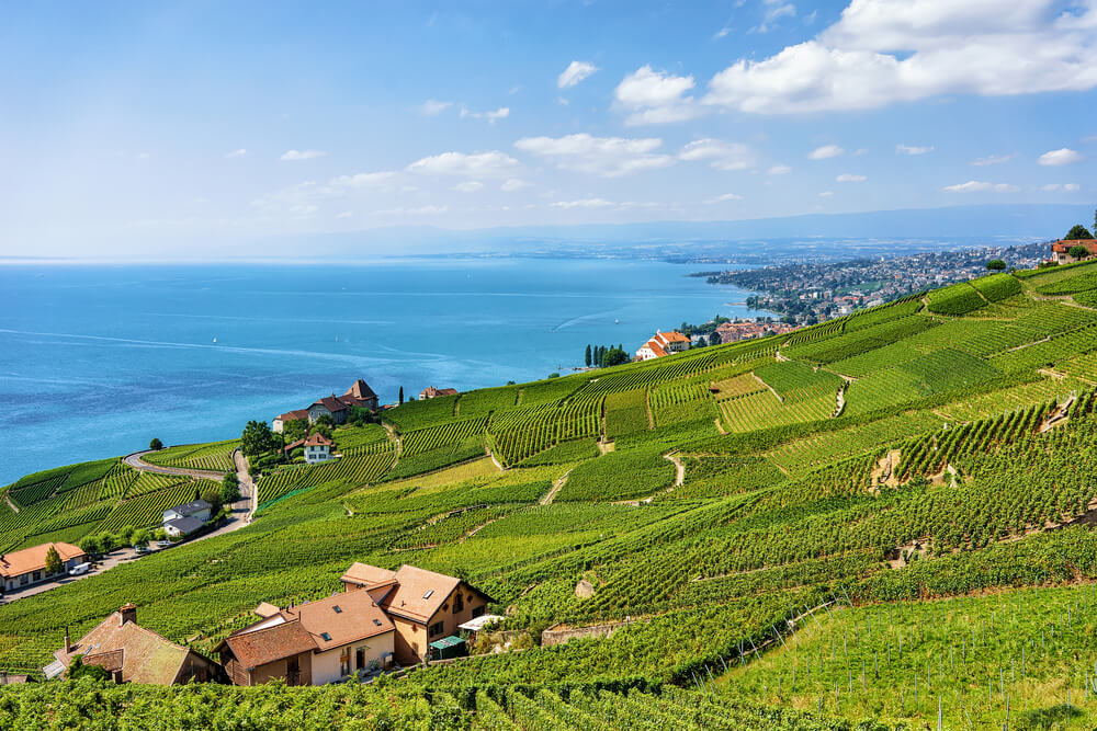 Découverte des terrasses de Lavaux lors de votre escapade à Lausanne ©Shutterstock