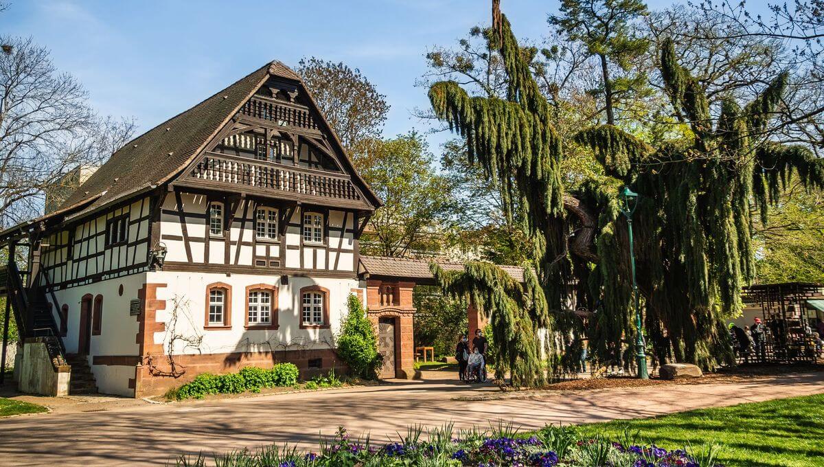 Le Parc Sainte Marie à Nancy ©France Bleu
