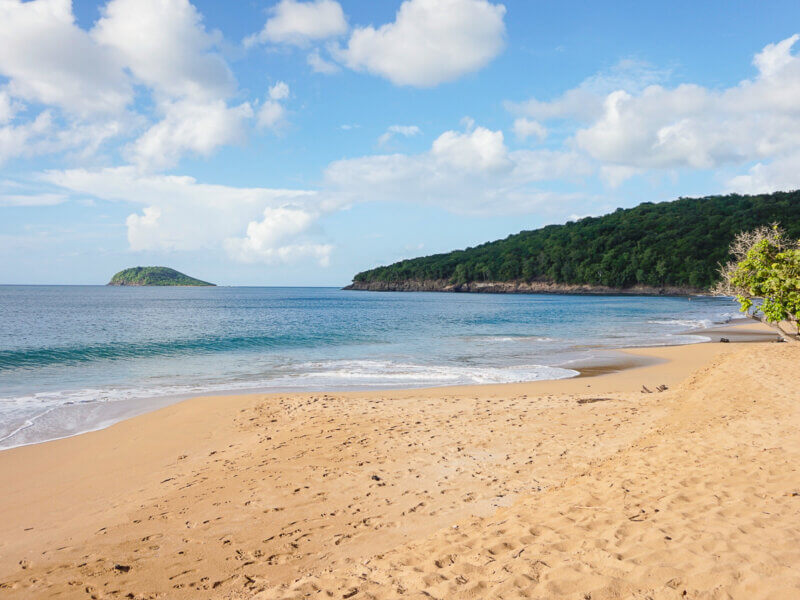 Plage de l'Anse de la Perle à Deshaies parmi les plages Guadeloupe ©Insolite Guadeloupe Voyage