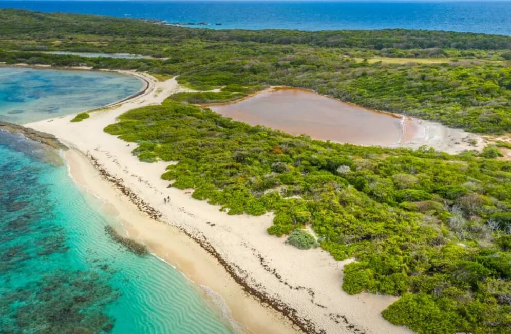 Plage des Salines à Saint-François en Guadeloupe ©Les îles de Guadeloupe
