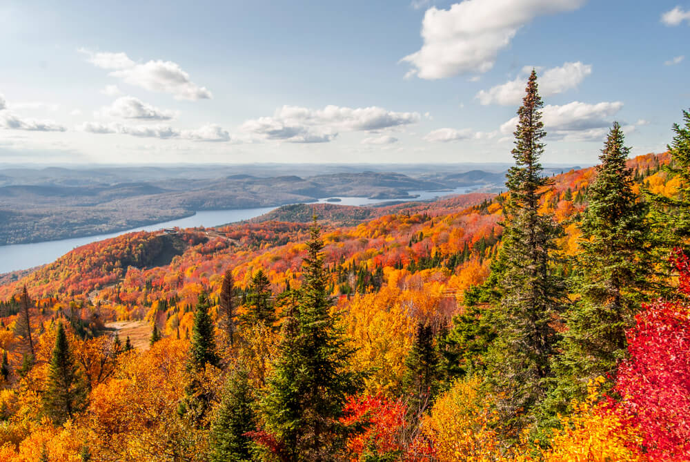 Parcourez du Parc national du Mont-Tremblant au Québec ©Shutterstock 