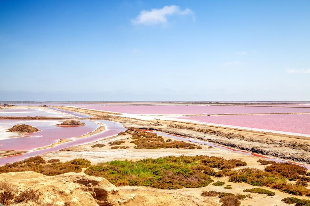 Les marais salants rosés par le sel, à Aigues-Mortes, en Camargue ©Shutterstock