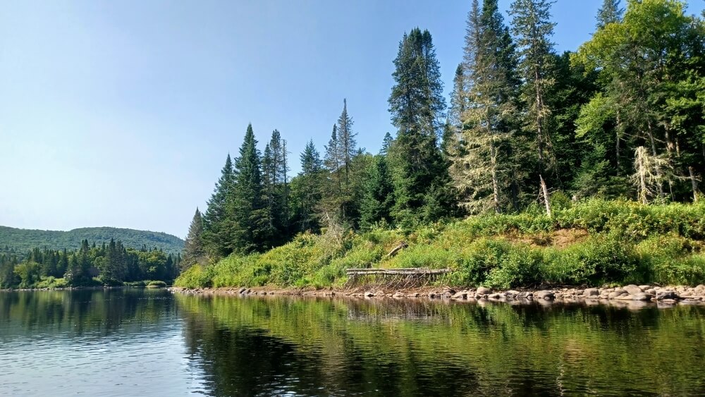Visitez le Québec et le parc national de la Jacques Cartier ©Shutterstock