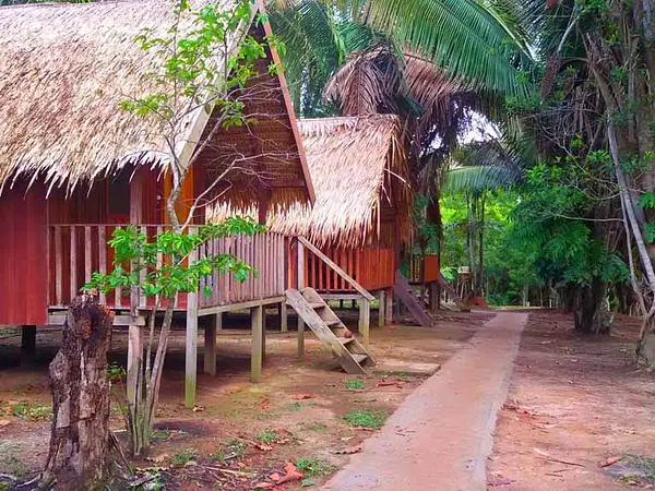 Location Vacances - Habitat écologique - Manaus - 16 personnes - Photo 4