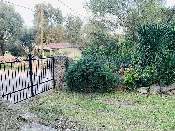 Location Vacances - Maison-Villa - Porto-vecchio - 2 personnes - Photo 5