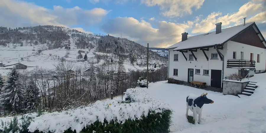Location Vacances - Gîte - La bresse - 14 personnes - Photo 1