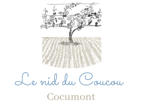 Location Vacances - Chambre d'hôtes - Cocumont - 8 personnes - Photo 3
