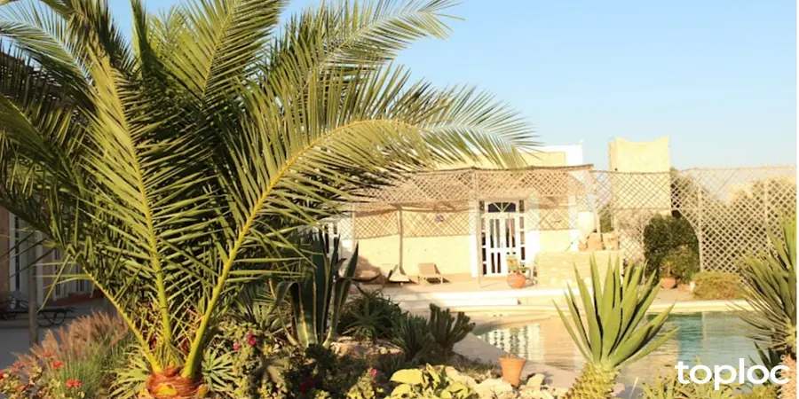 Location Vacances - Chambre d'hôtes - Essaouira - 10 personnes - Photo 1